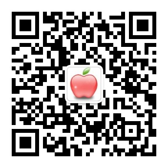 埃及团队游